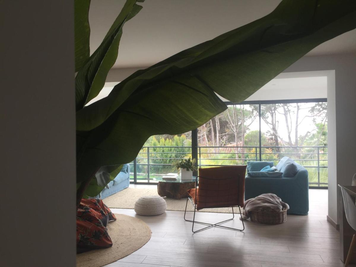 Pietrosella Villa Macalia מראה חיצוני תמונה