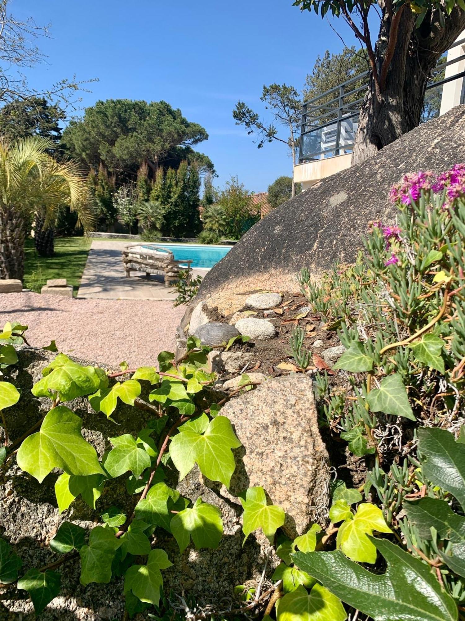 Pietrosella Villa Macalia מראה חיצוני תמונה
