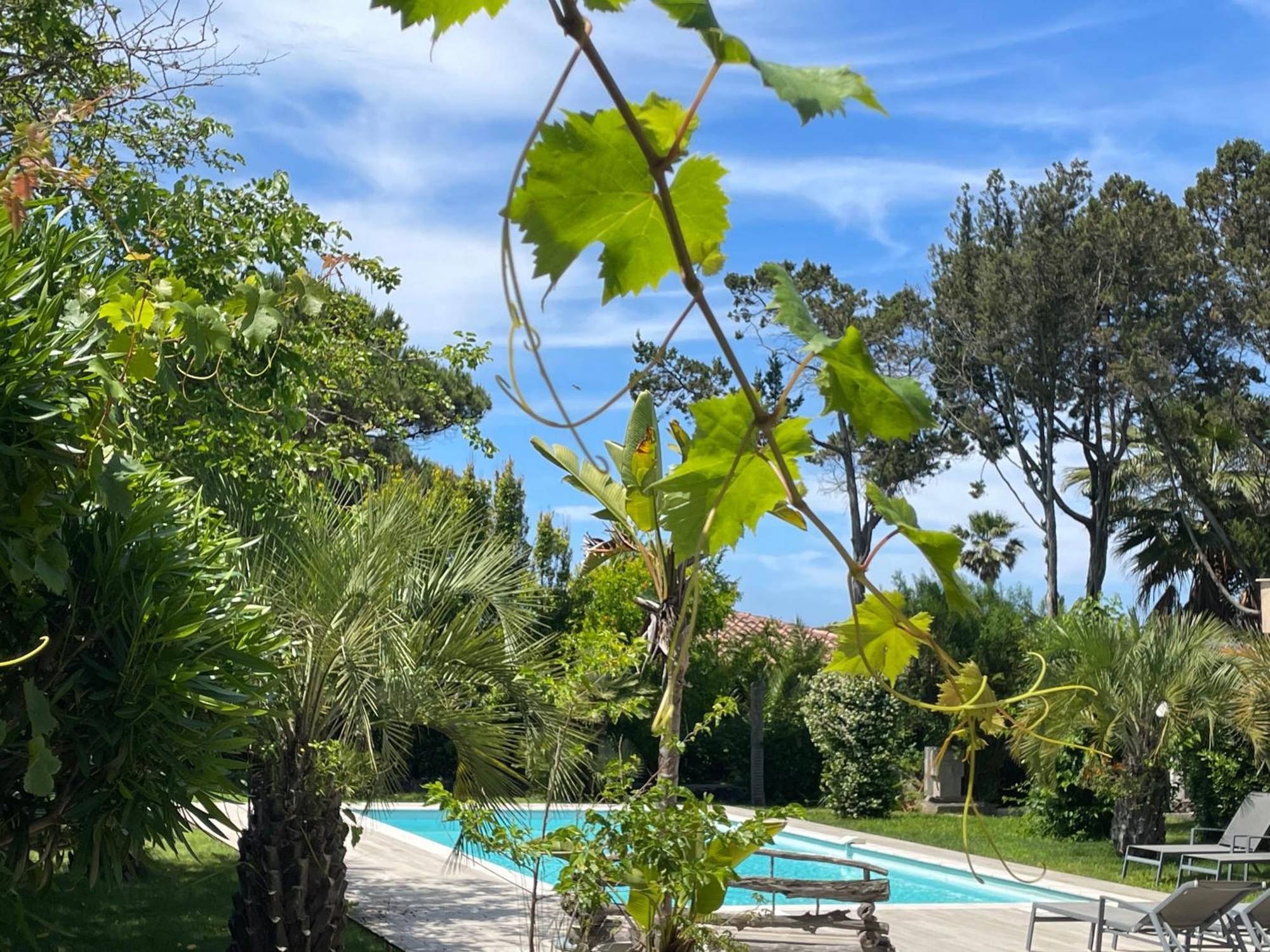 Pietrosella Villa Macalia מראה חיצוני תמונה